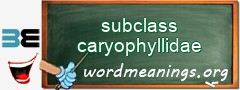 WordMeaning blackboard for subclass caryophyllidae